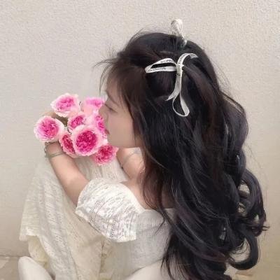 灵驹续集